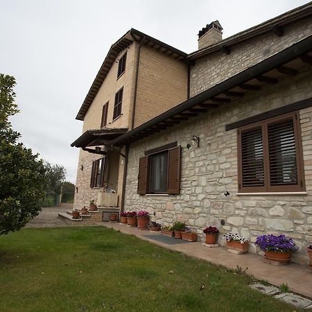 Assisana Affittacamere Santa Maria Degli Angeli (Assisi) Exterior foto