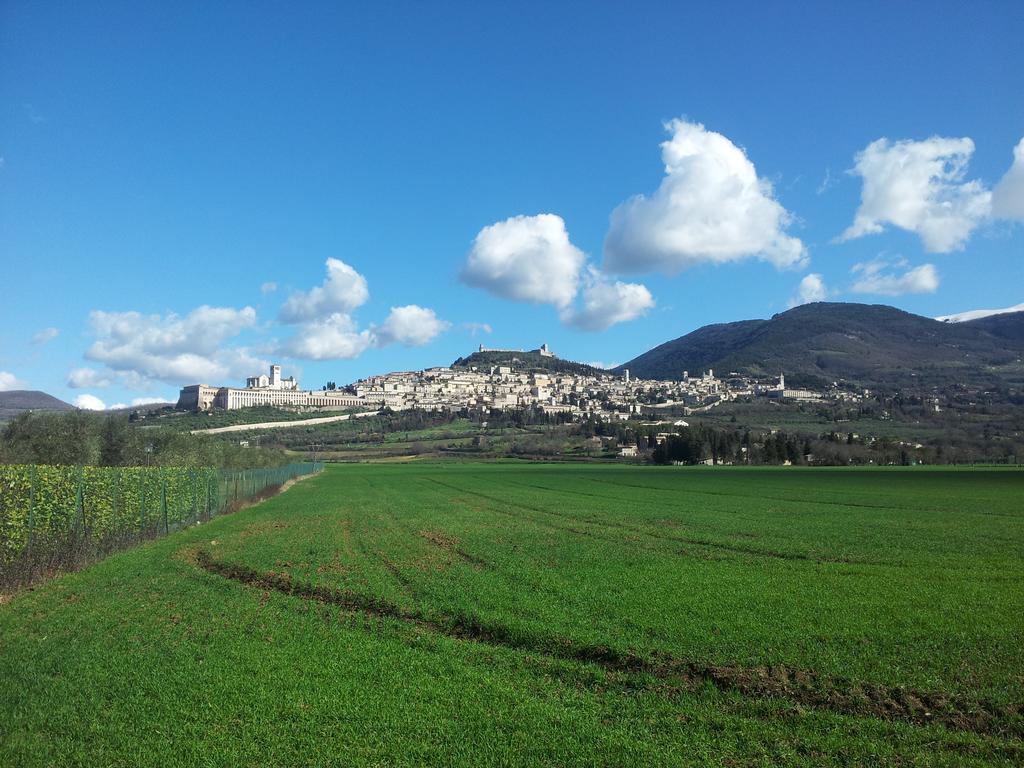 Assisana Affittacamere Santa Maria Degli Angeli (Assisi) Exterior foto