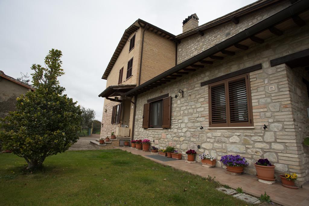 Assisana Affittacamere Santa Maria Degli Angeli (Assisi) Exterior foto